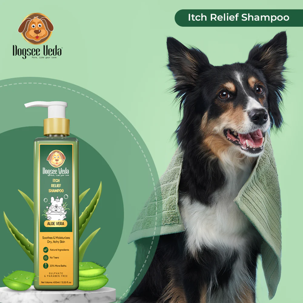 Dogsee Veda ITCH RELIEF Aloe Vera Shampoo for Dogs (200ml) - Image 9