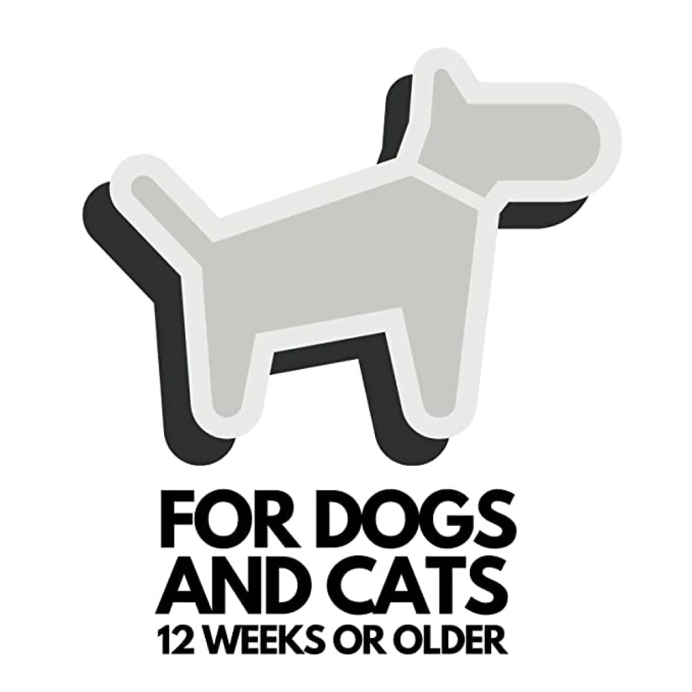 DOGZ & DUDEZ Coconut Shampoo for Dogs and Cats - Image 8