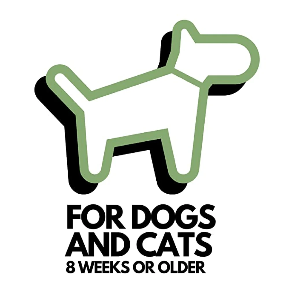 DOGZ & DUDEZ Dry Shampoo for Dogs and Cats - Image 6