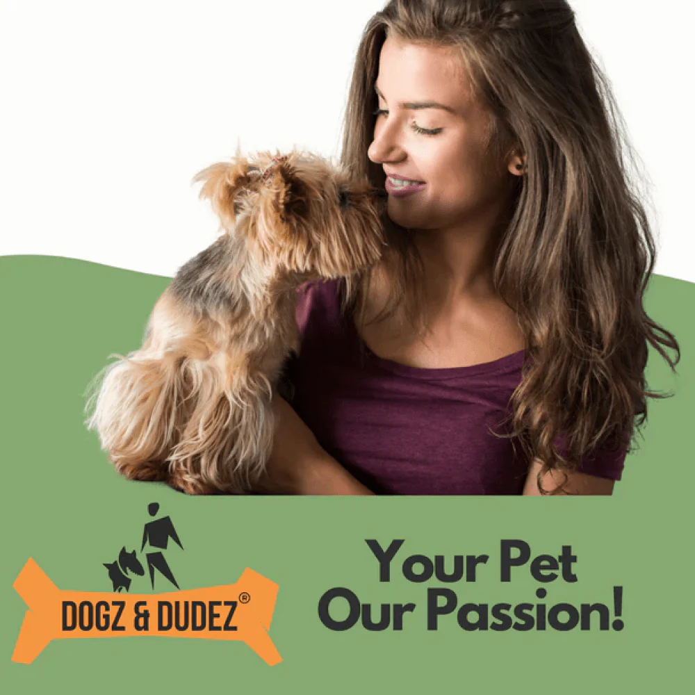 DOGZ & DUDEZ Dry Shampoo for Dogs and Cats - Image 8