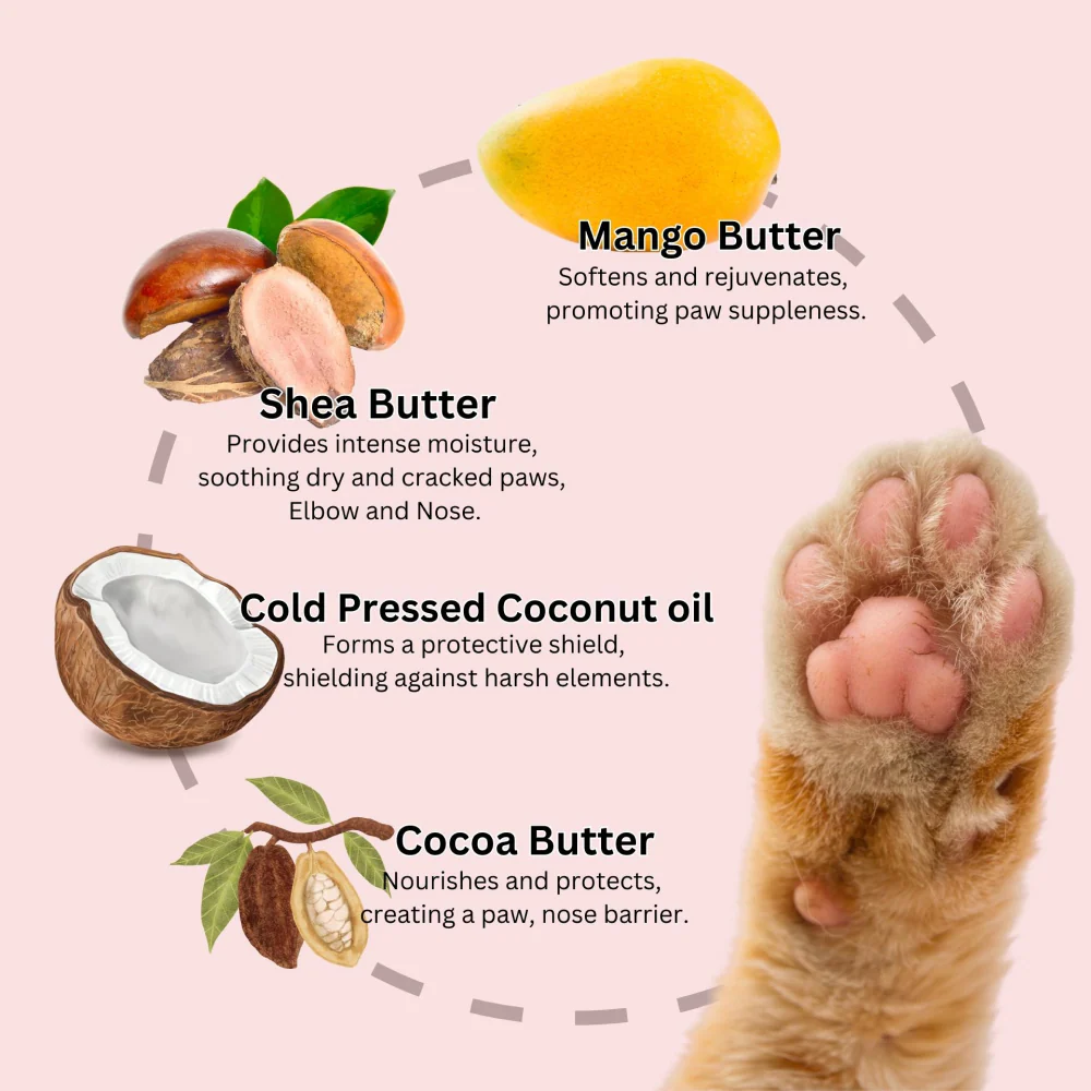 DOGZ & DUDEZ Mango Butter Paw Cream for Dogs and Cats - Image 2