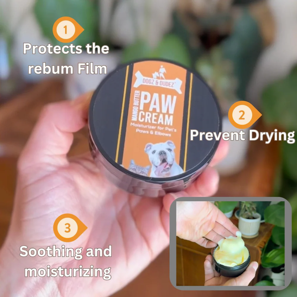 DOGZ & DUDEZ Mango Butter Paw Cream for Dogs and Cats - Image 3