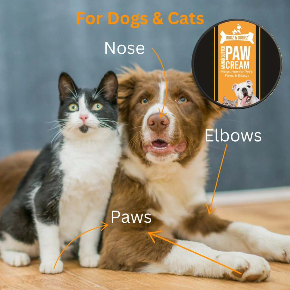 DOGZ & DUDEZ Mango Butter Paw Cream for Dogs and Cats - Image 5