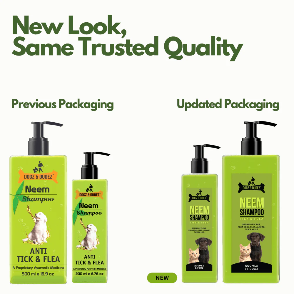 DOGZ & DUDEZ Natural Neem Anti Tick and Flea Shampoo for Dogs and Cats - Image 12