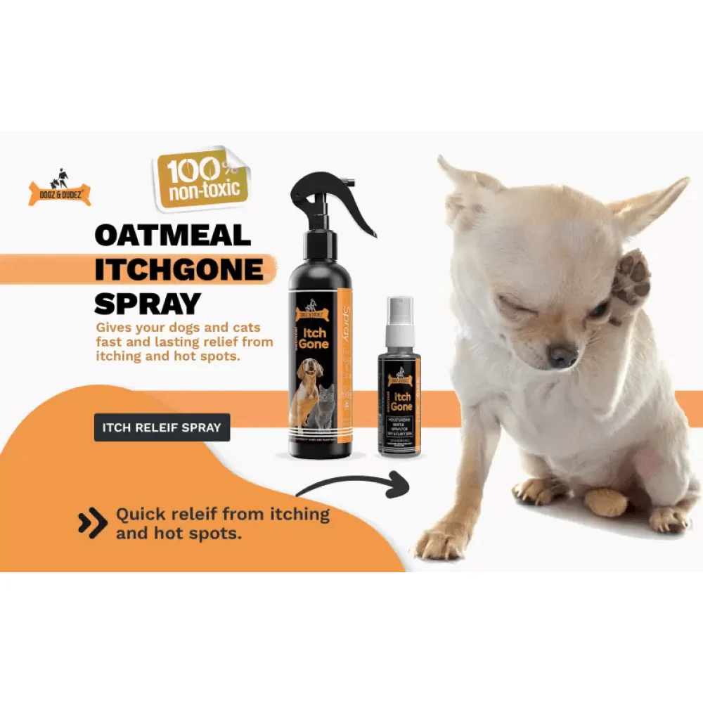 DOGZ & DUDEZ Oatmeal Itchgone for Dogs and Cats - Image 4