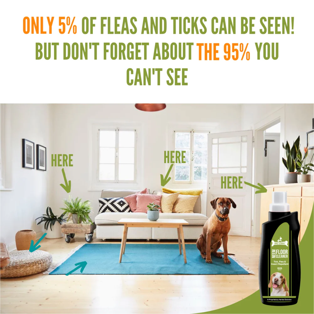 DOGZ & DUDEZ Tick and Flea Repellent Floor Cleaner for Dogs and Cats - Image 5