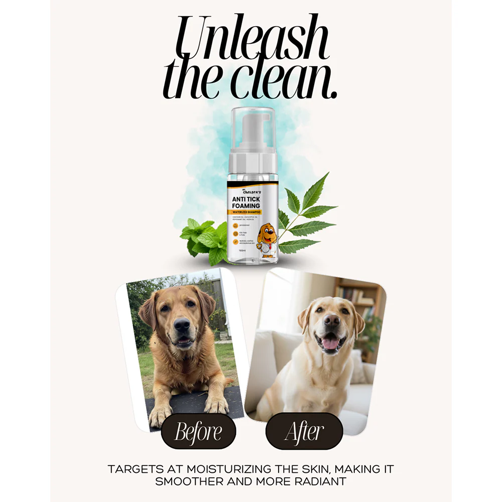 Dr. Chelsea's Anti Tick Foaming Waterless Shampoo for Cats & Dogs - Image 5
