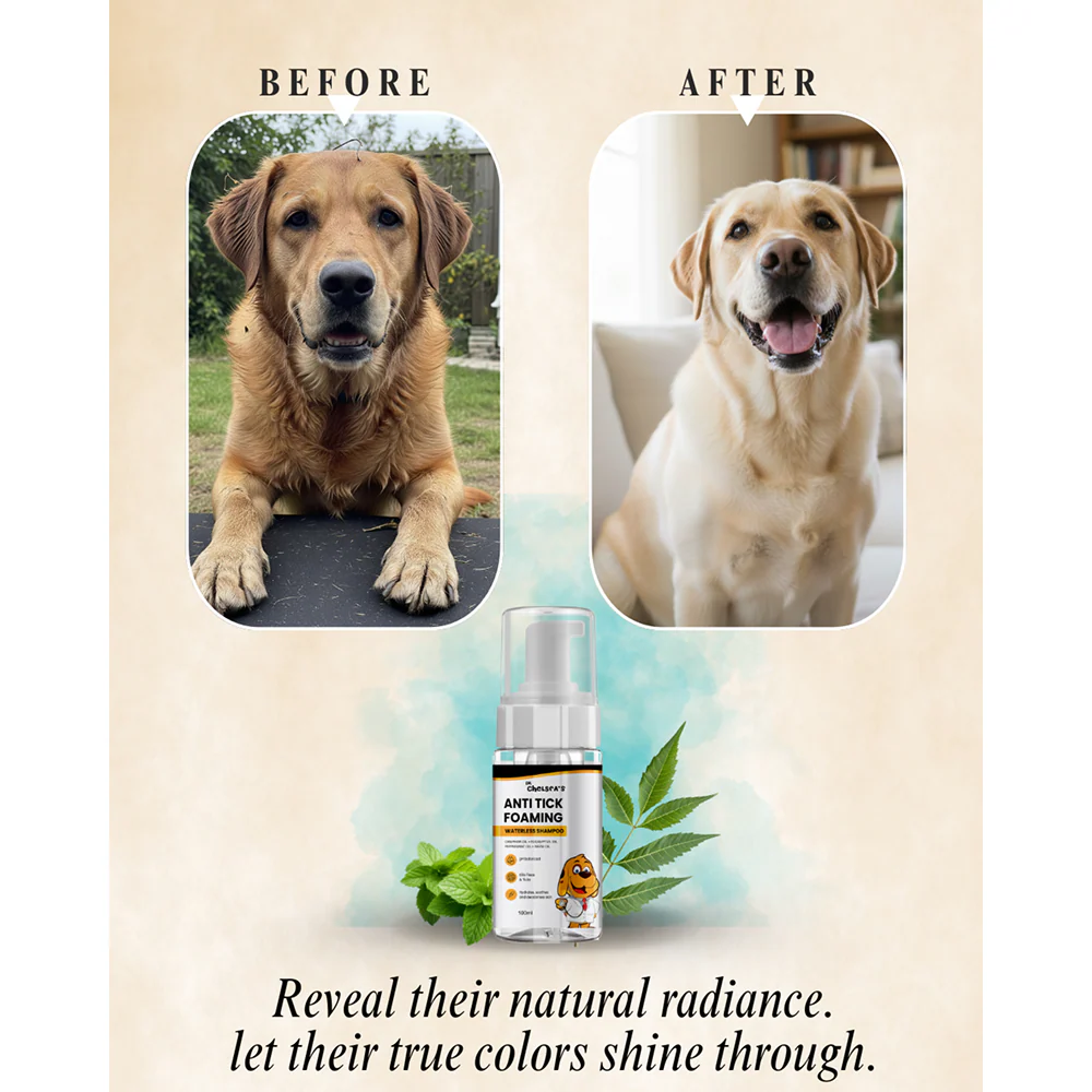 Dr. Chelsea's Anti Tick Foaming Waterless Shampoo for Cats & Dogs - Image 6