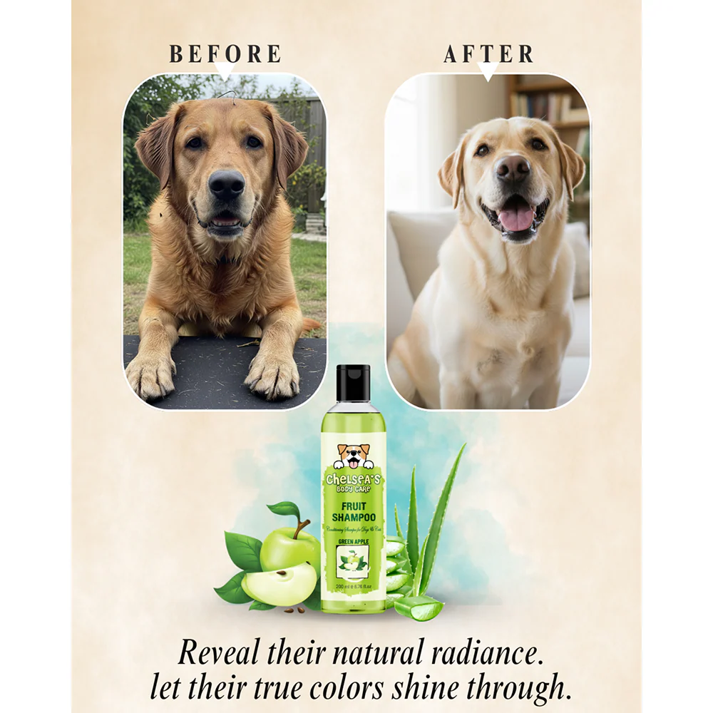 Dr. Chelsea's Green Apple Fruit Conditing Shampoo for Cats & Dogs - Image 5