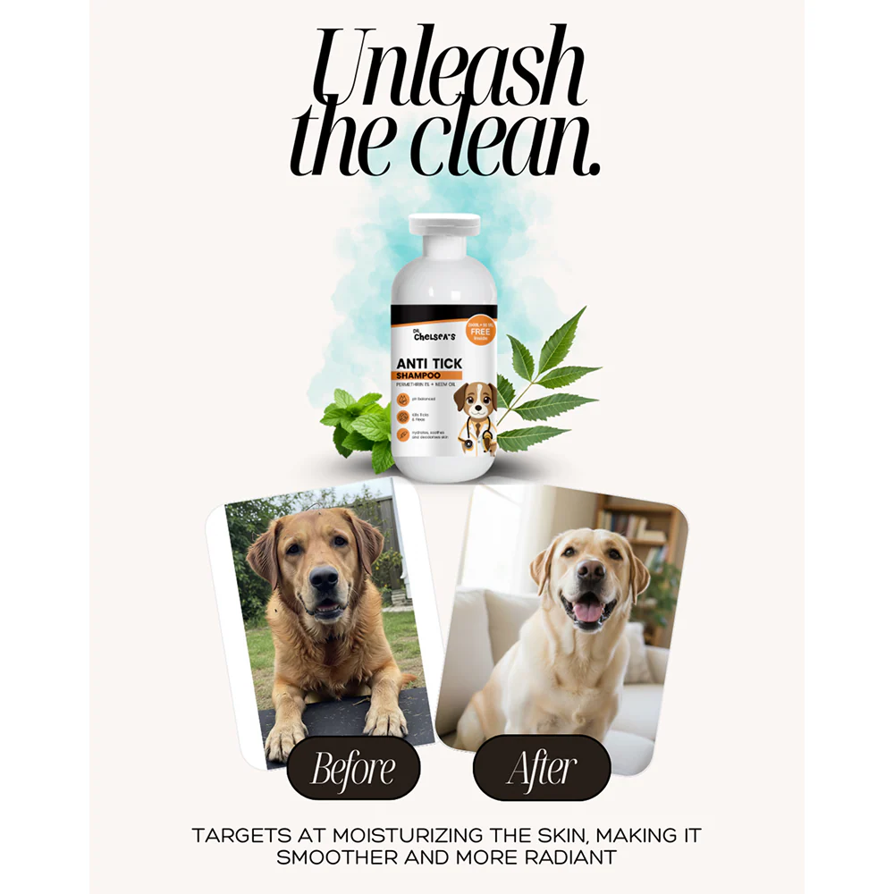 Dr. Chelsea's Neem Oil Anti Tick Shampoo for Cats & Dogs - Image 5