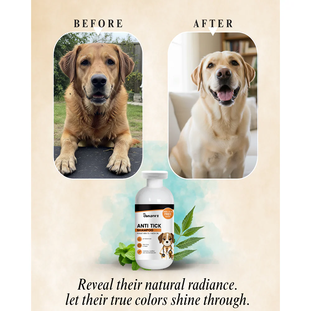 Dr. Chelsea's Neem Oil Anti Tick Shampoo for Cats & Dogs - Image 6