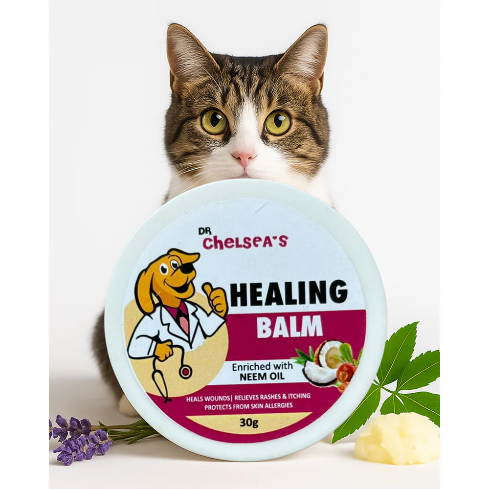 Dr. Chelsea's Neem Oil Enriched Healing Balm for Dog & Cat - Image 8
