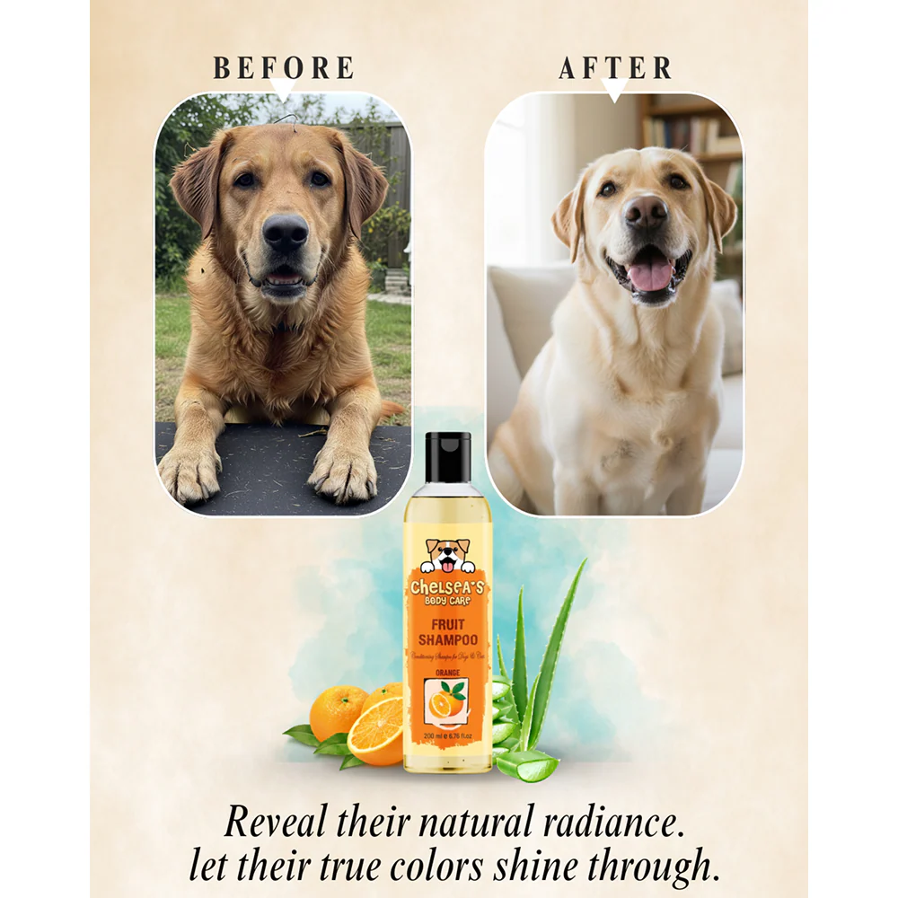 Dr. Chelsea's Orange Fruit Conditing Shampoo for Cats & Dogs - Image 5