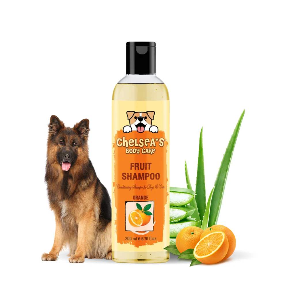 Dr. Chelsea's Orange Fruit Conditing Shampoo for Cats & Dogs - Image 6