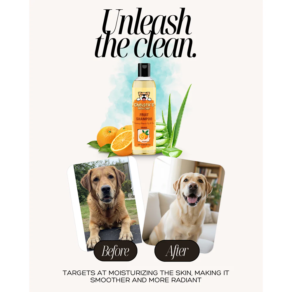 Dr. Chelsea's Orange Fruit Conditing Shampoo for Cats & Dogs - Image 8