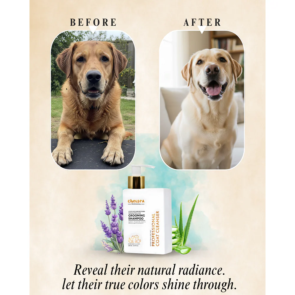 Dr. Chelsea's Professional Grooming Shampoo for Cats & Dogs - Image 5