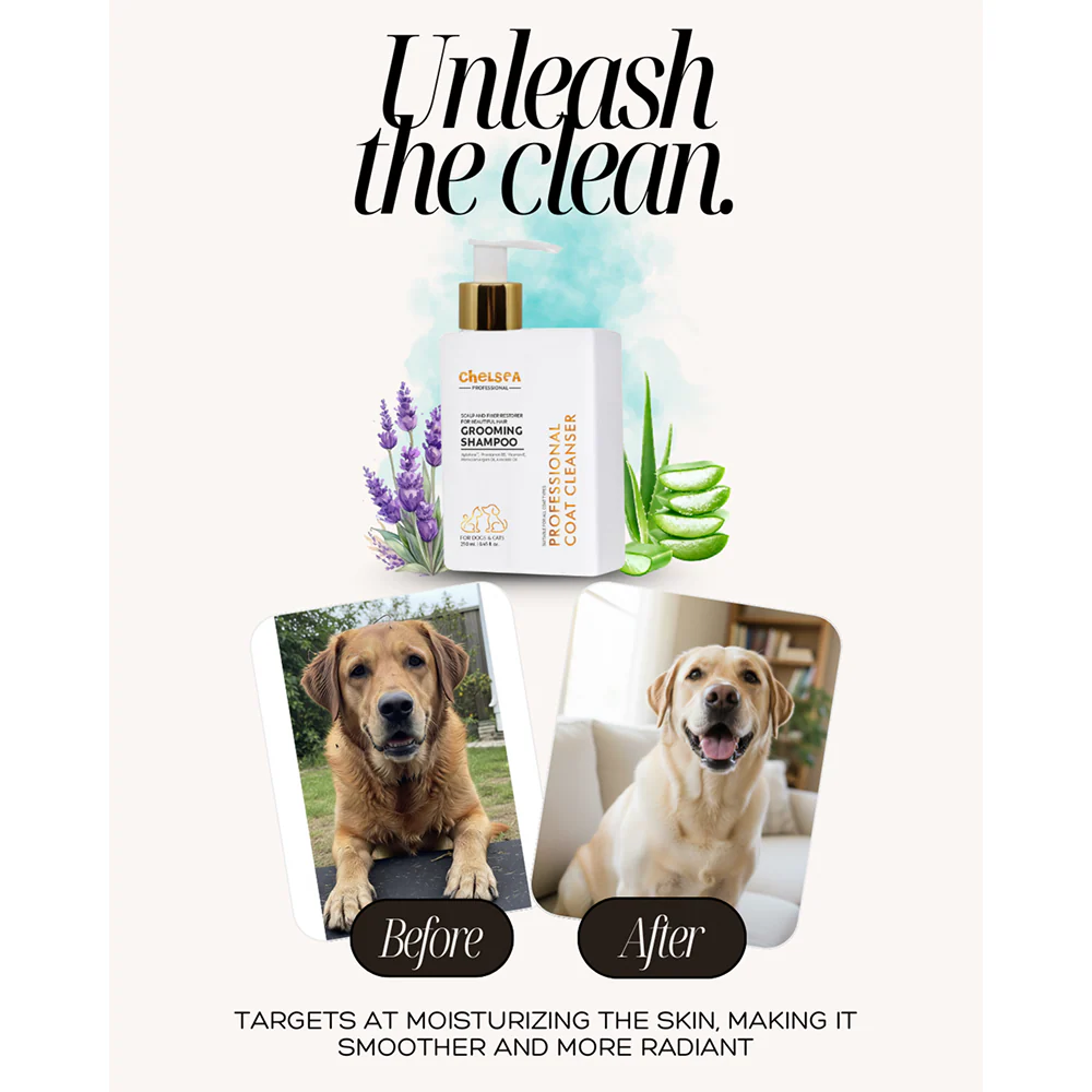 Dr. Chelsea's Professional Grooming Shampoo for Cats & Dogs - Image 6