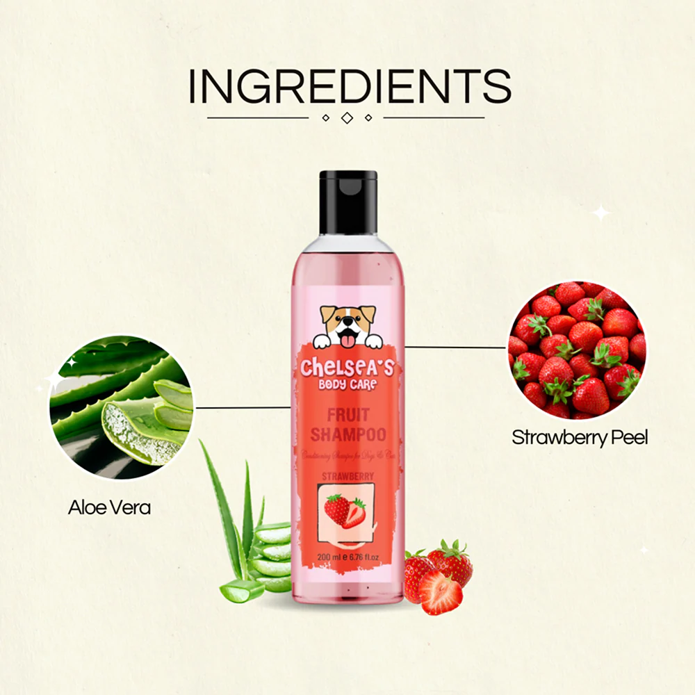 Dr. Chelsea's Strawberry Fruit Conditing Shampoo for Cats & Dogs - Image 3