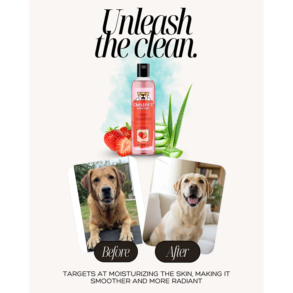 Dr. Chelsea's Strawberry Fruit Conditing Shampoo for Cats & Dogs - Image 5