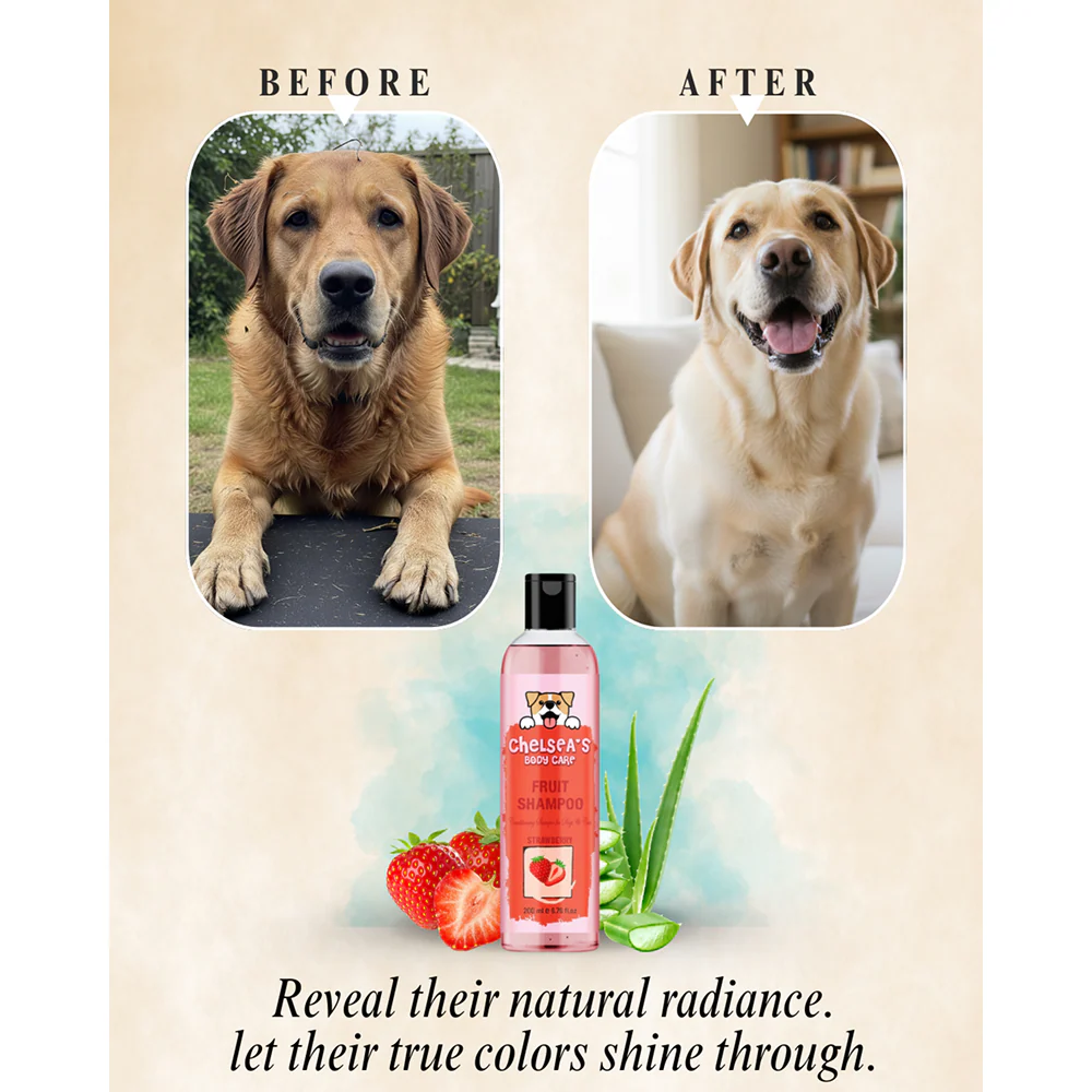Dr. Chelsea's Strawberry Fruit Conditing Shampoo for Cats & Dogs - Image 6