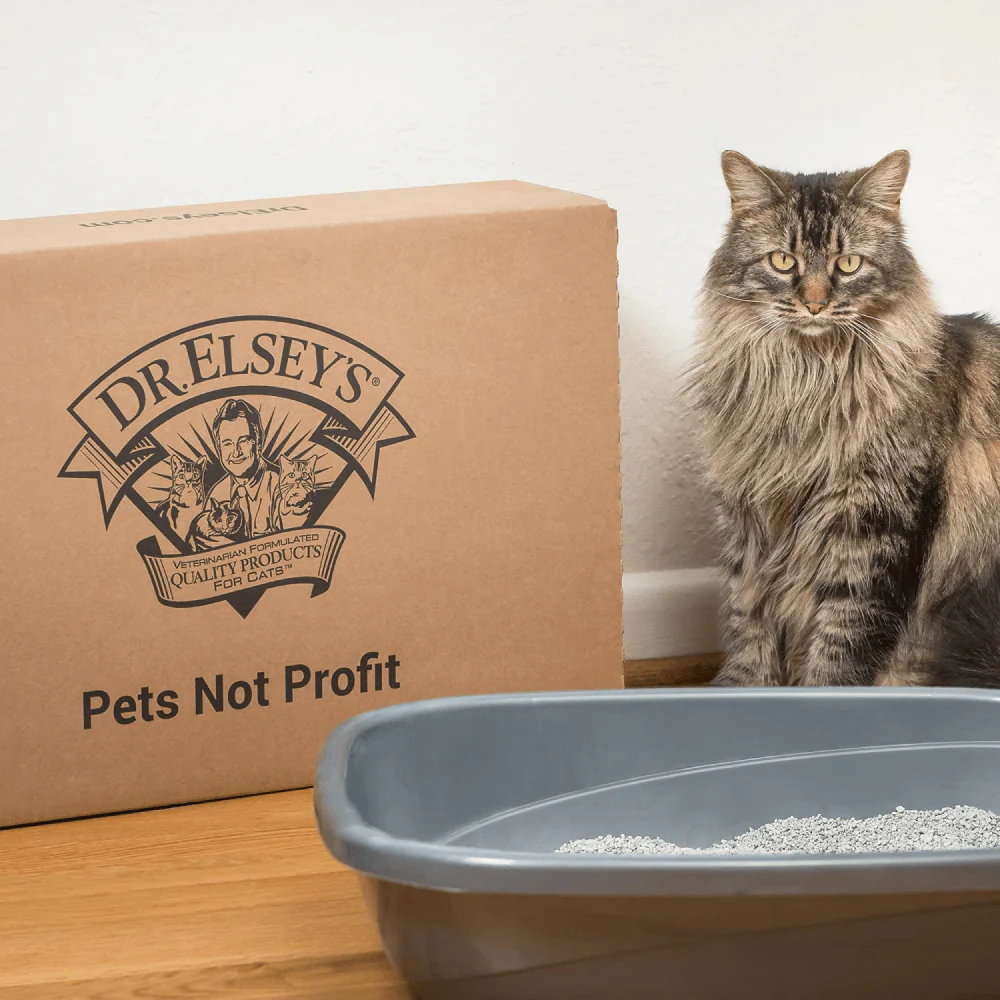 Dr. Elsey's Precious Ultra Scented Cat Litter - Image 6