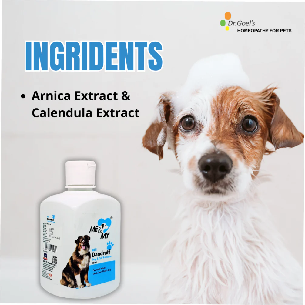 Dr Goel's Me & My Anti Dandruff Shampoo for Dogs and Cats - Image 5