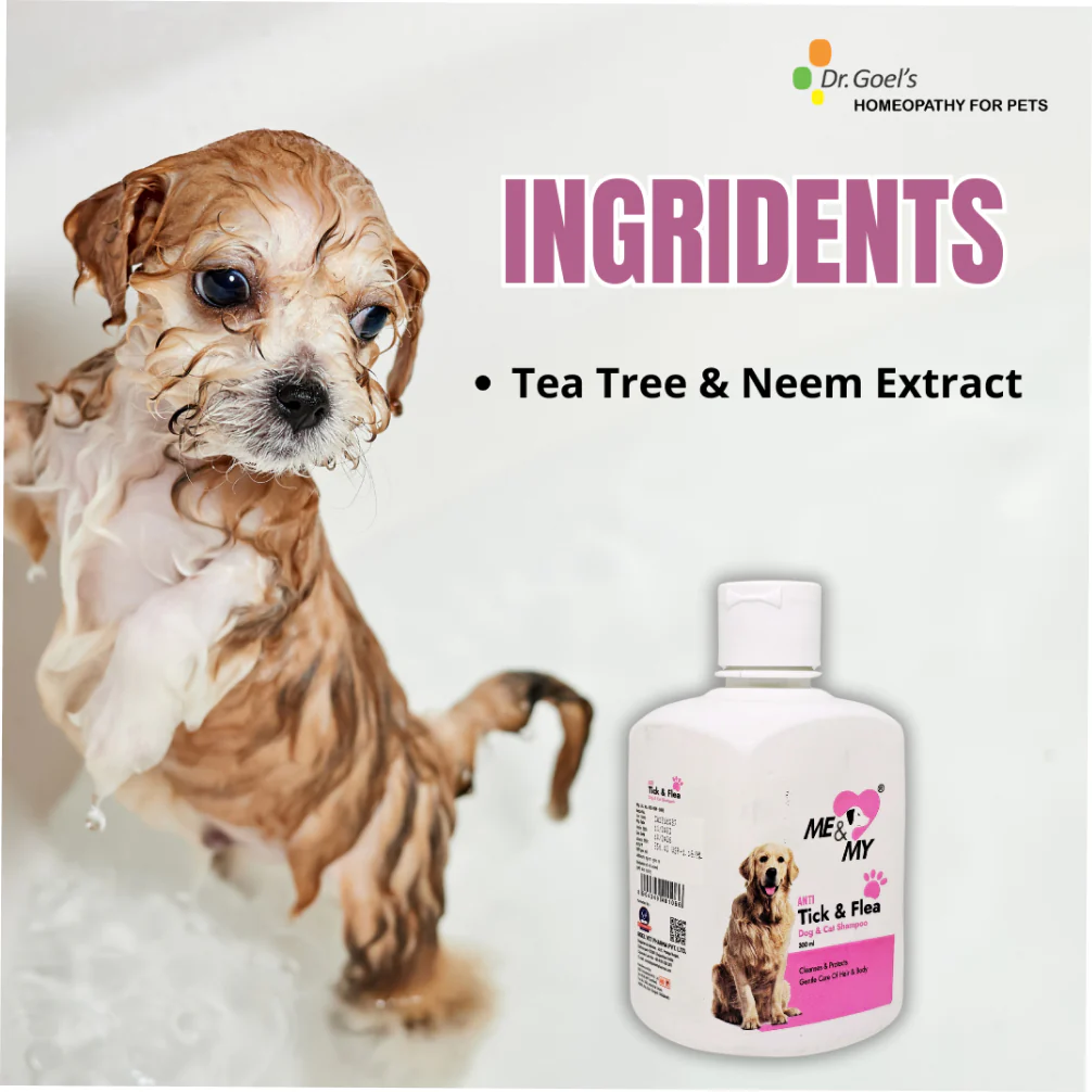 Dr Goel's Me & My Anti Ticks & Flea Shampoo for Dogs and Cats - Image 4