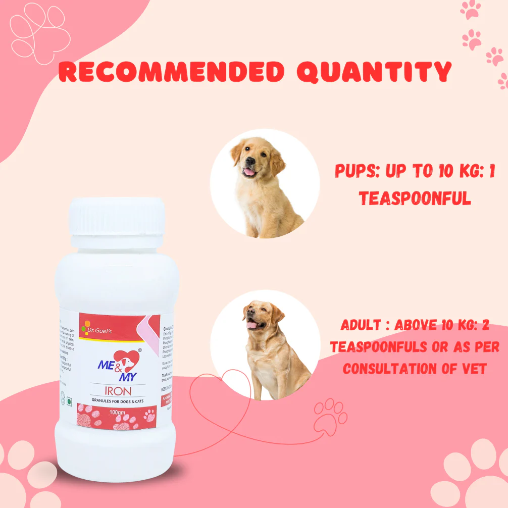 Dr Goel's Me & My Iron Supplements for Dogs and Cats - Image 4