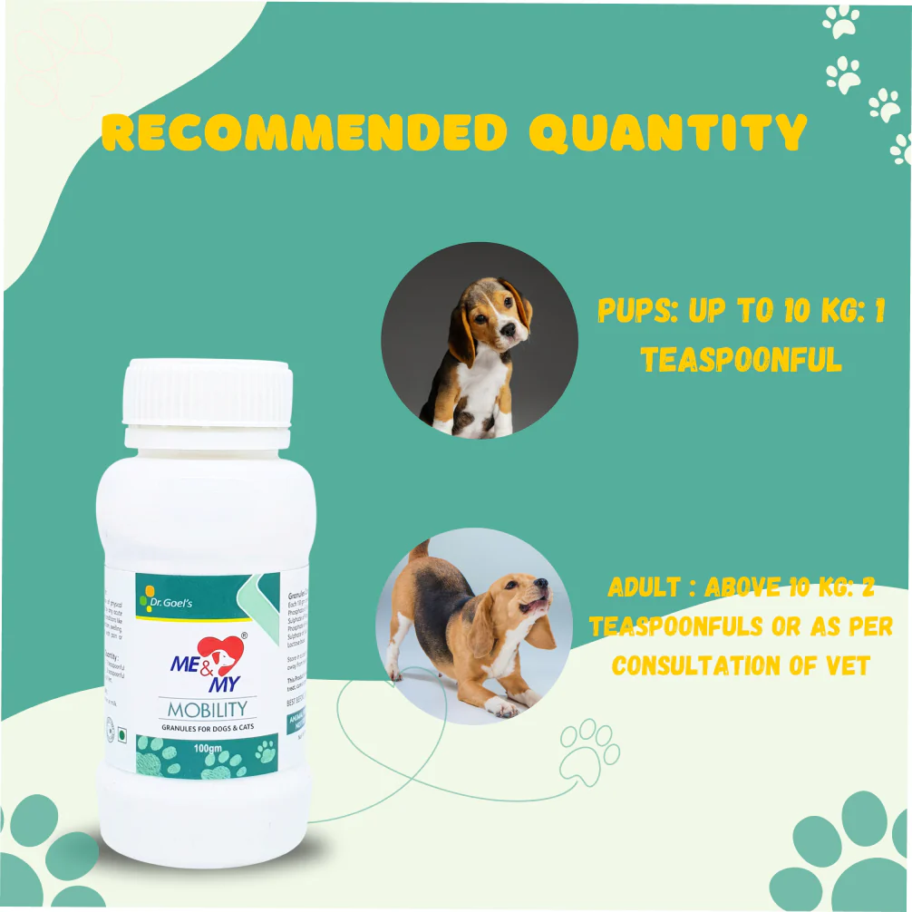 Dr Goel's Me & My Mobility Supplements for Dogs and Cats - Image 3