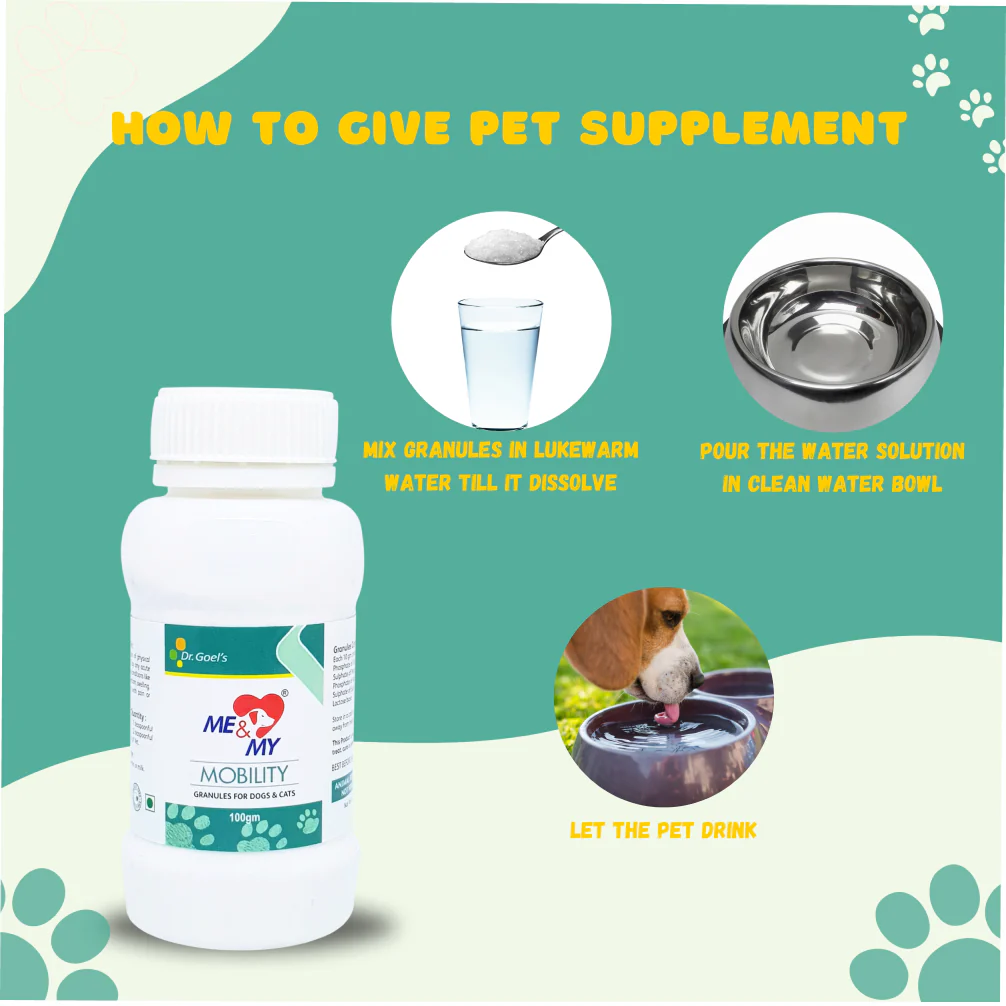 Dr Goel's Me & My Mobility Supplements for Dogs and Cats - Image 4