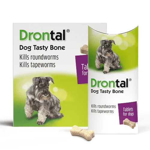 Drontal Plus Tasty Dog Deworming Tablet (pack of 6 tablets) - Image 2