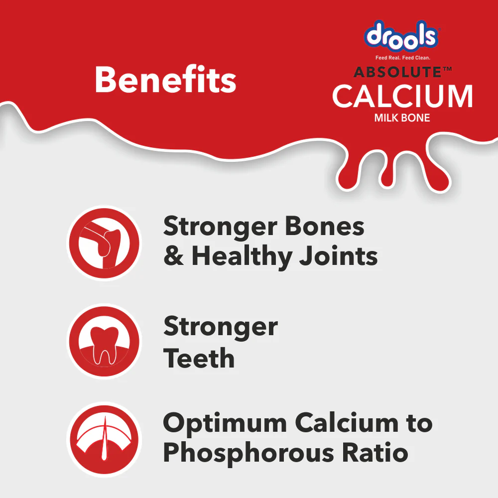 Drools Absolute Calcium Bone for Large Dogs - Image 4