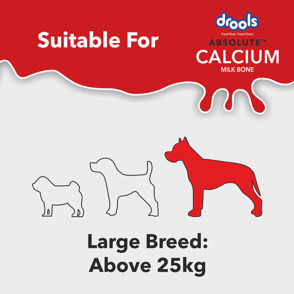 Drools Absolute Calcium Bone for Large Dogs - Image 5