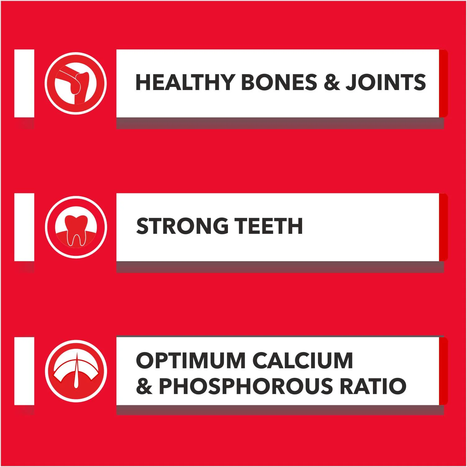 Drools Absolute Calcium Bones Dog treats (Jar) - Image 6