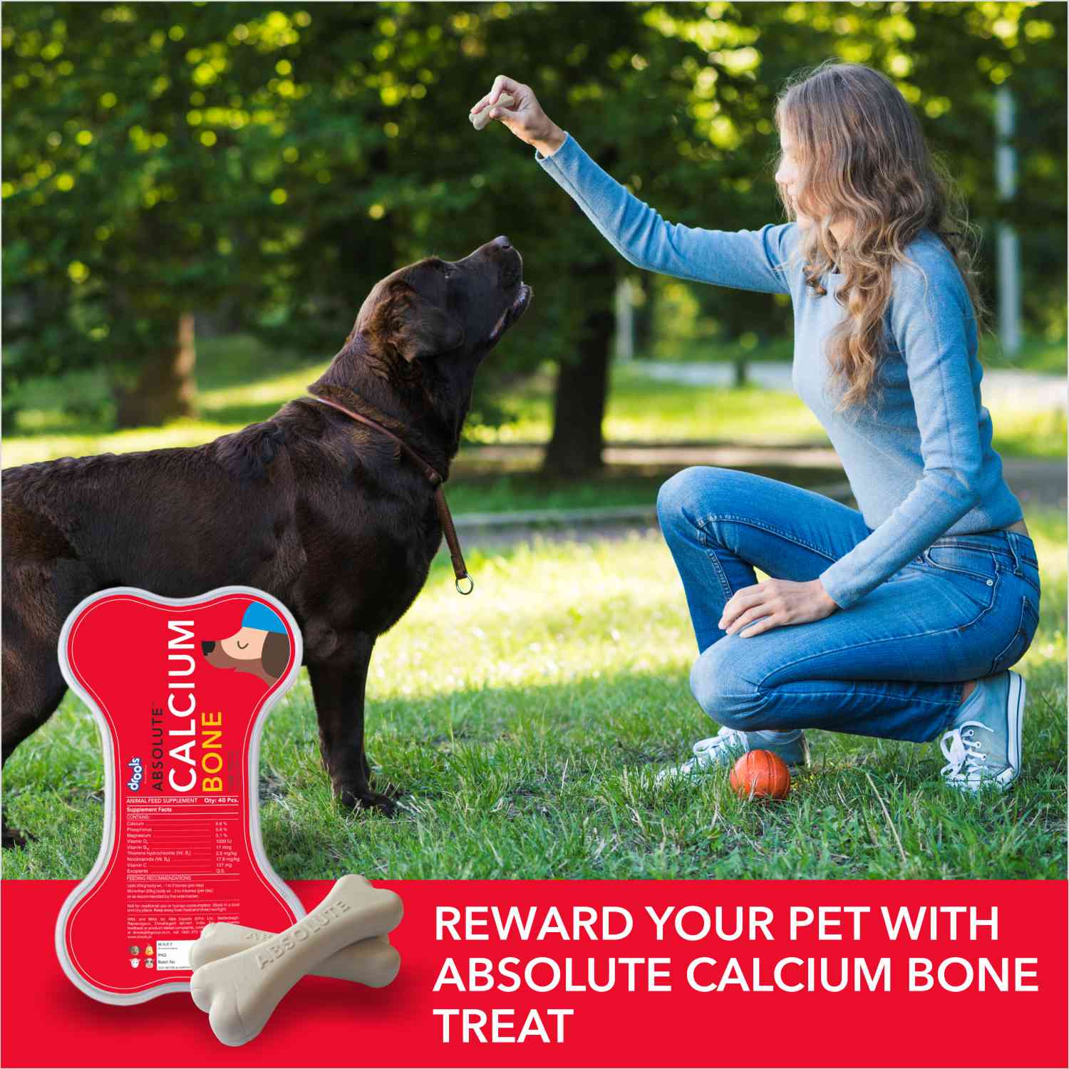 Drools Absolute Calcium Bones (Jar), Kennel Kitchen Chicken Flaxseed Stick Dogs Treat Combo - Image 5