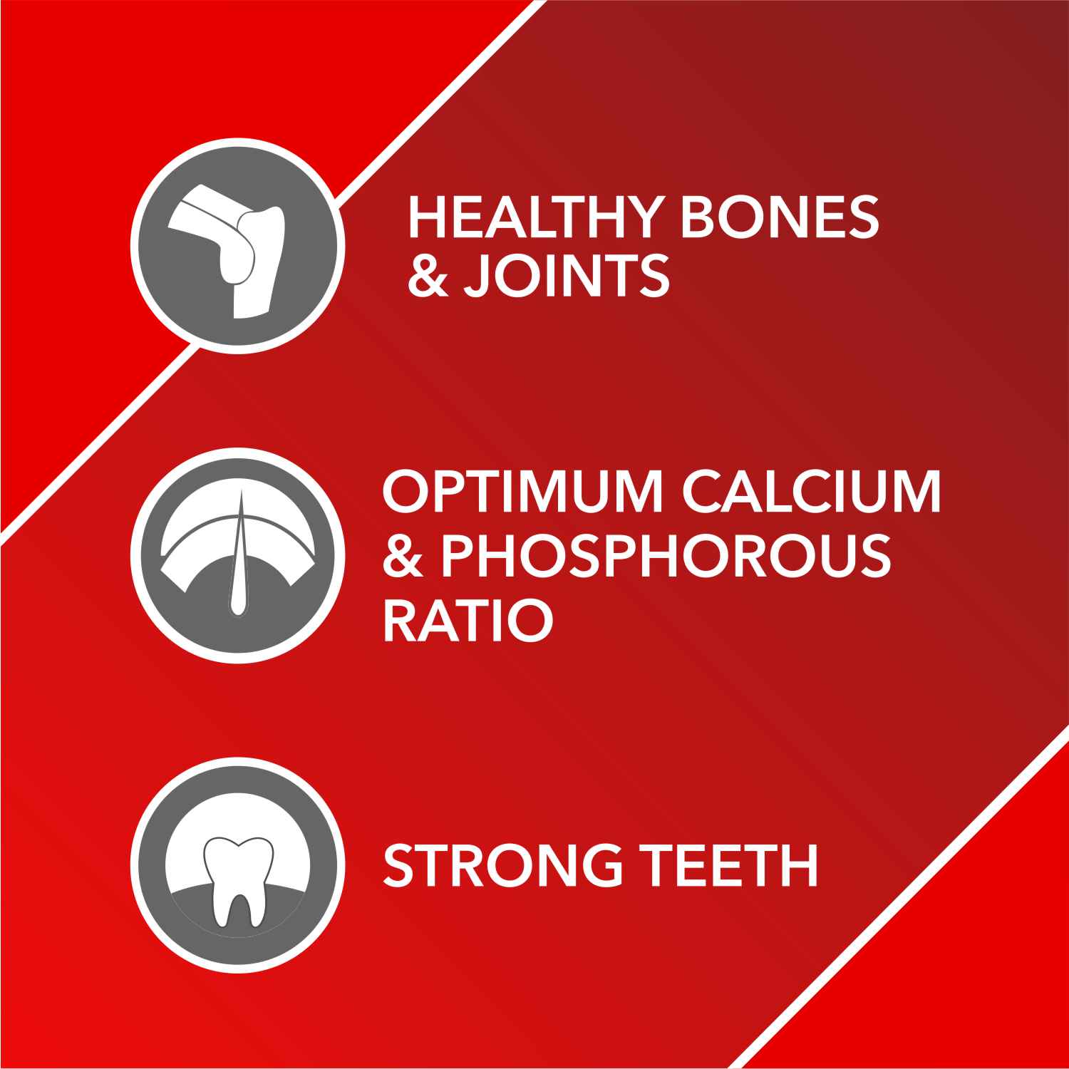 Drools Absolute Calcium, Vitamin and Skin & Coat Dog Supplement Tablets Combo - Image 4