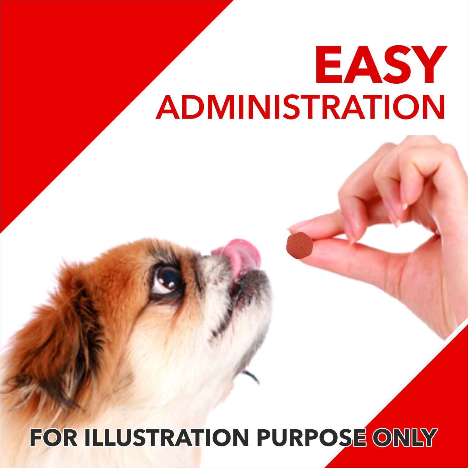 Drools Absolute Calcium, Vitamin and Skin & Coat Dog Supplement Tablets Combo - Image 5