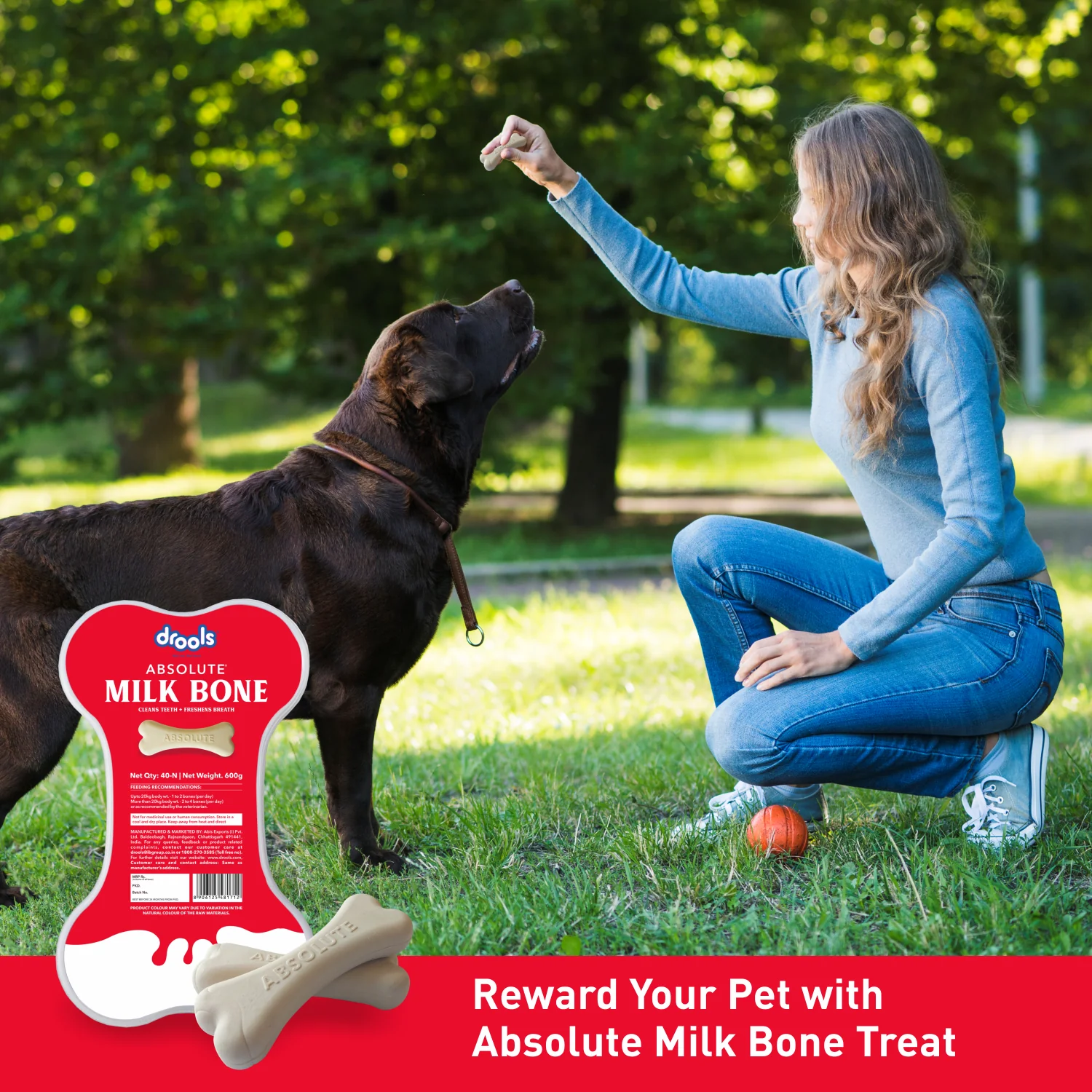 Drools Absolute Milk Bone Jar - Image 5