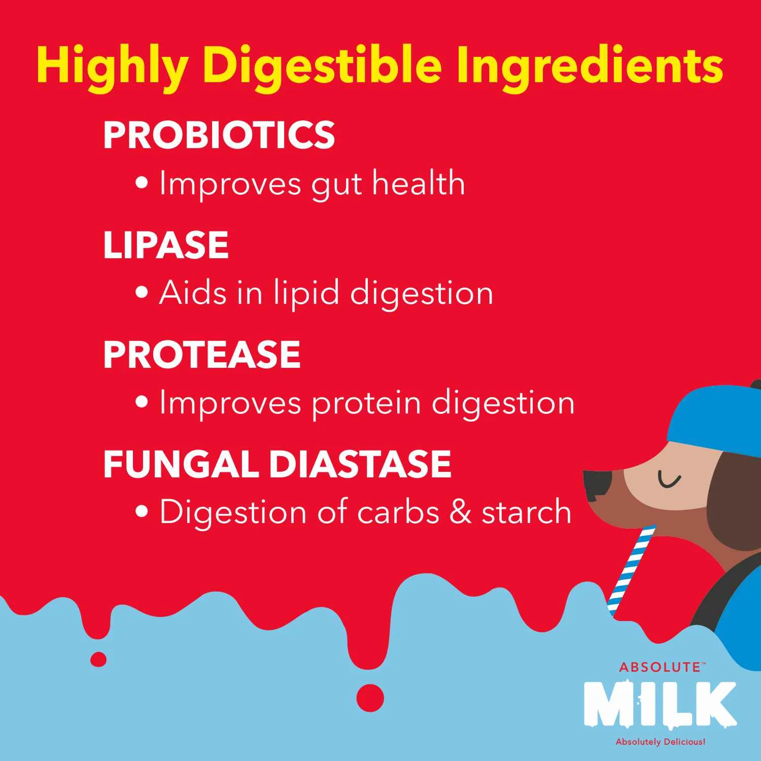 Drools Absolute Milk for Newborn Puppies - Image 7