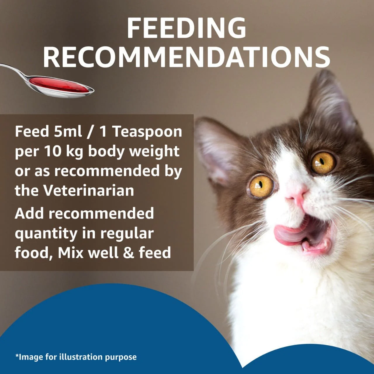 Drools Absolute Salmon Oil Syrup Supplement for Cats - Image 5