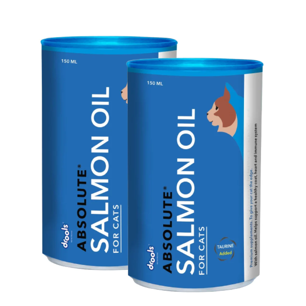 Drools Absolute Salmon Oil Syrup Supplement for Cats - Image 7