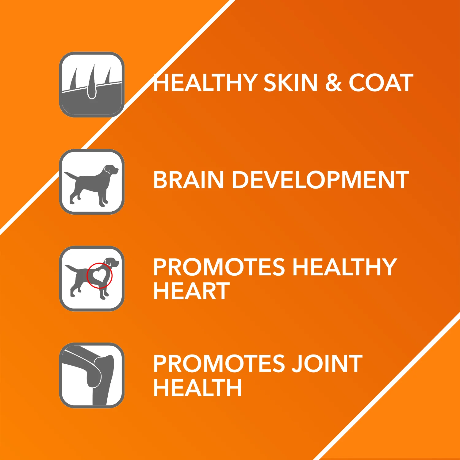 Drools Absolute Salmon Oil Syrup Supplement for Dogs - Image 3