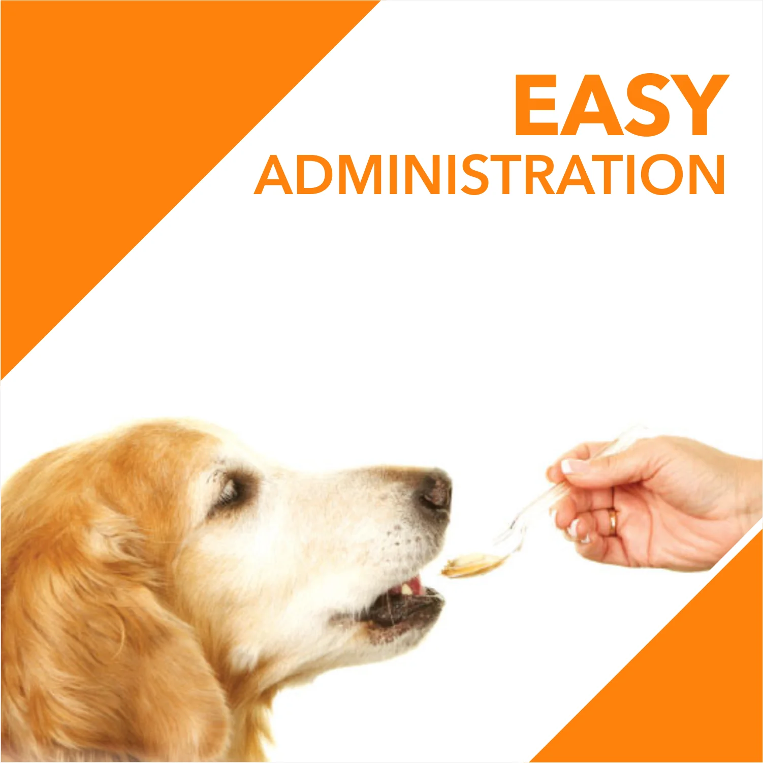 Drools Absolute Salmon Oil Syrup Supplement for Dogs - Image 5