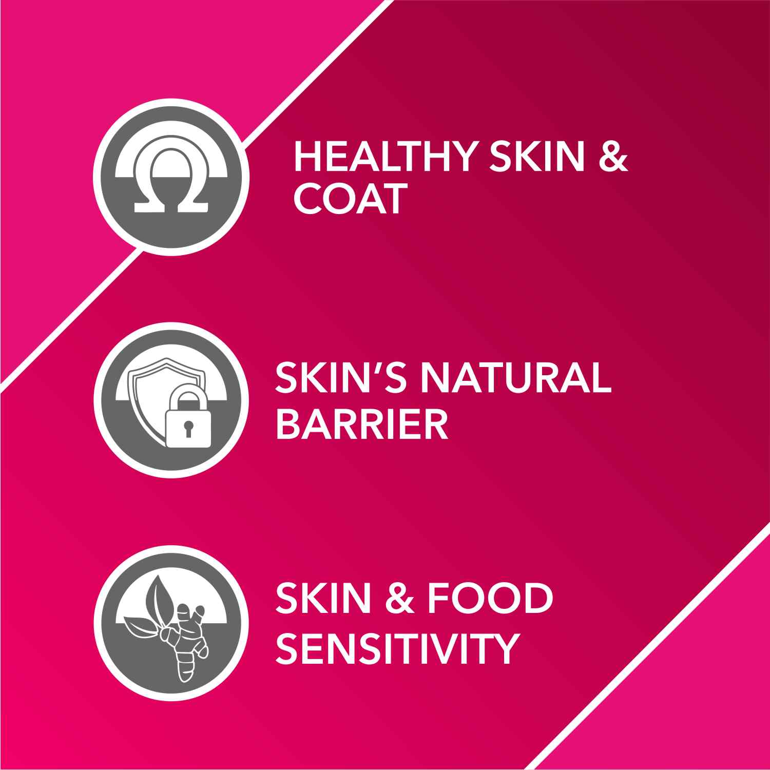 Drools Absolute Skin & Coat Tablets and Salmon Oil Syrup Supplement for Dogs Combo - Image 4