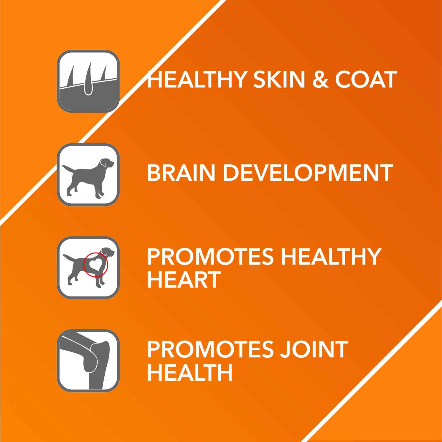 Drools Absolute Skin & Coat Tablets and Salmon Oil Syrup Supplement for Dogs Combo - Image 9