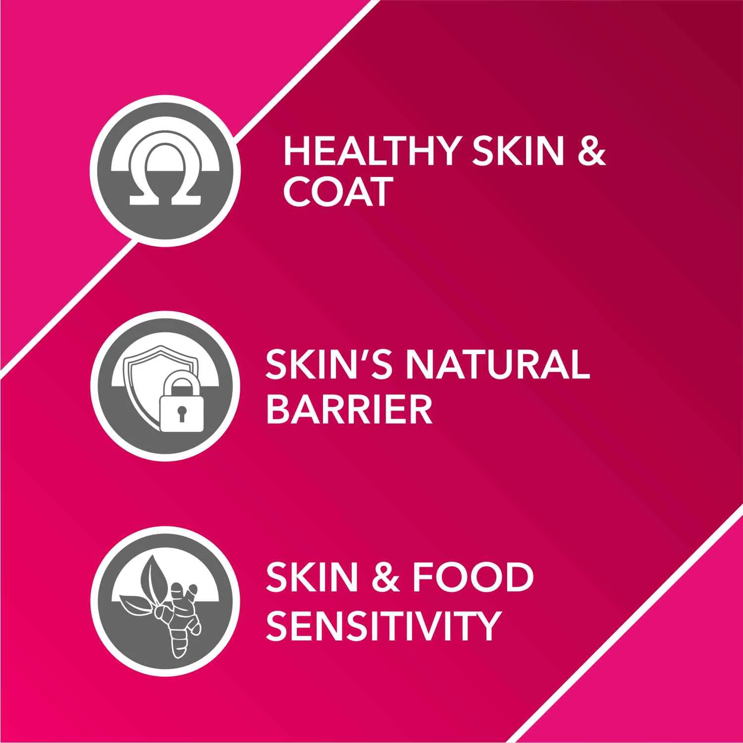 Drools Absolute Skin & Coat Supplement Tablets for Dogs - Image 4