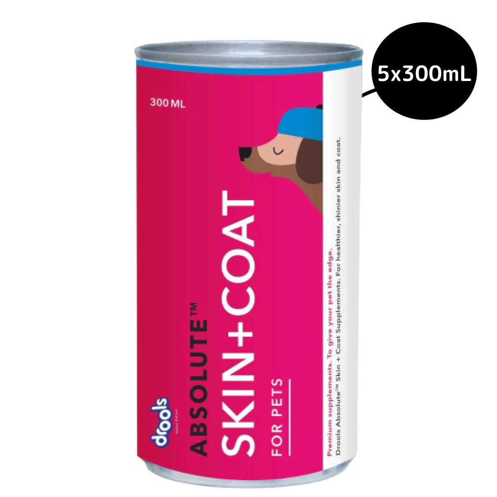 Drools Absolute Skin & Coat Syrup Supplement for Dogs - Image 3