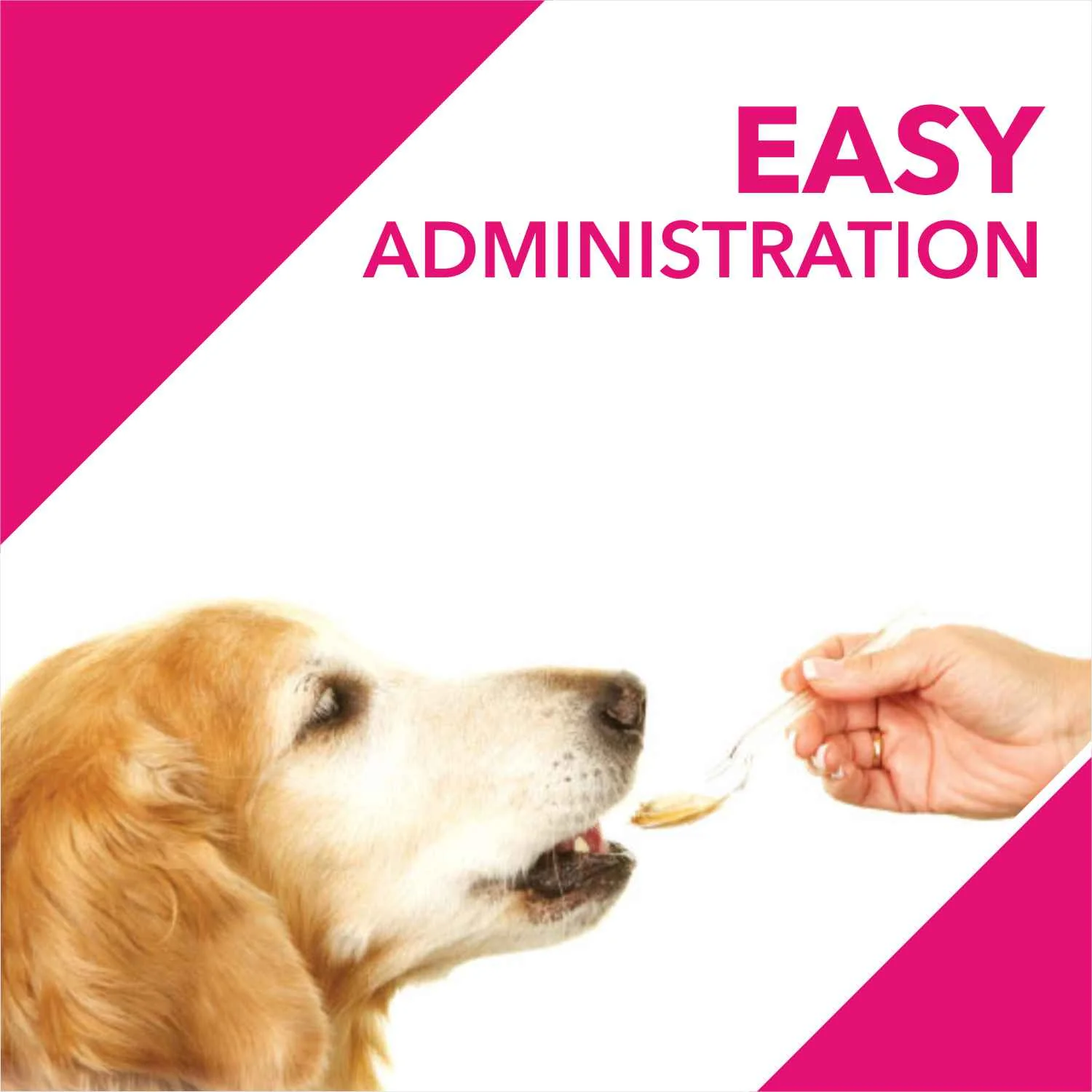 Drools Absolute Skin & Coat Syrup Supplement for Dogs - Image 7