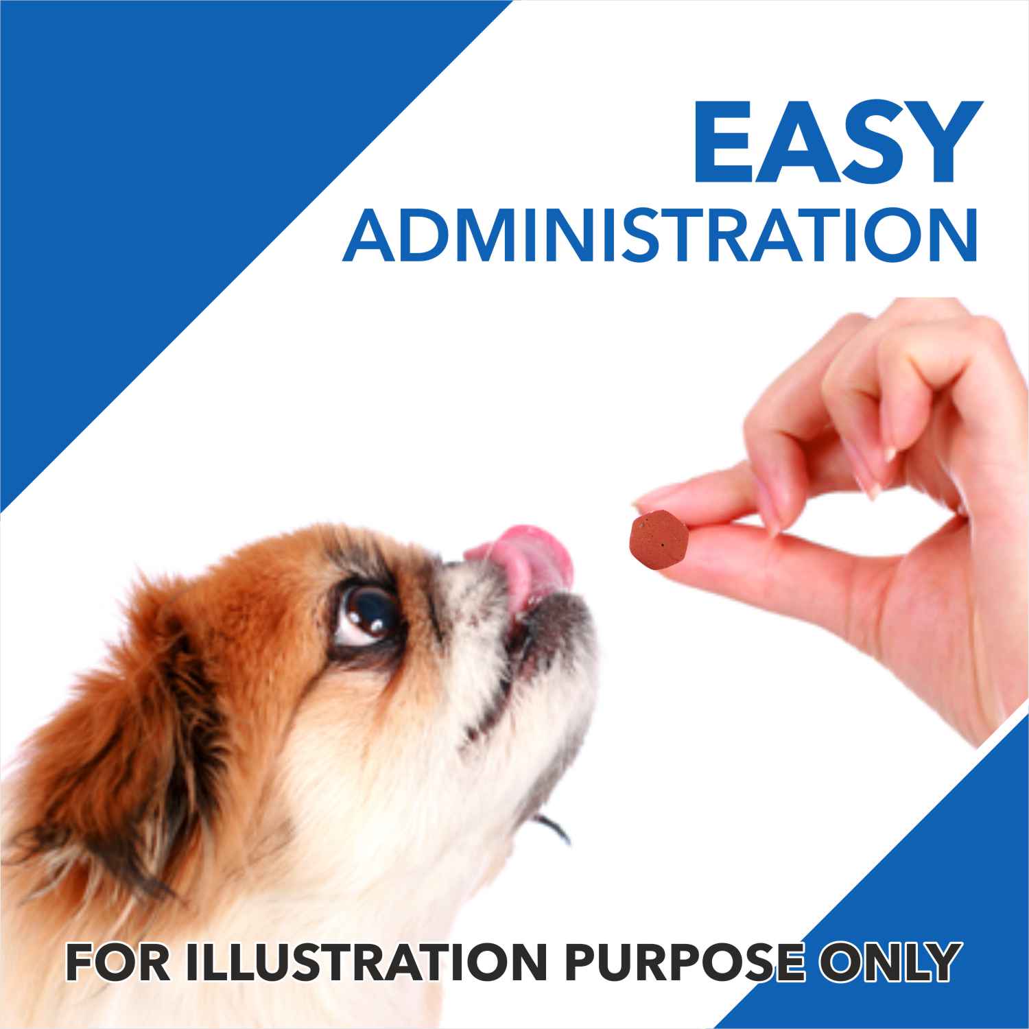 Drools Absolute Vitamin and Absolute Calcium Supplement Tablets for Dogs Combo - Image 6