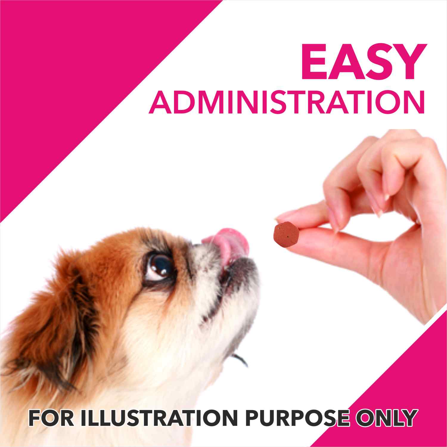 Drools Absolute Vitamin And Skin & Coat Supplement Tablets for Dogs Combo - Image 9